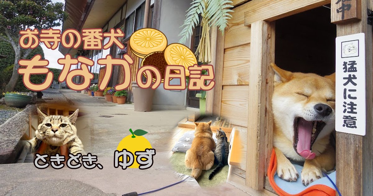 もなかとゆずの日記