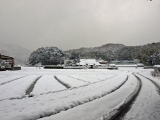 長楽寺写真冬